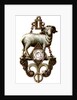 Aries, The Ram by Anonymous
