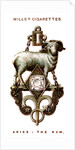 Aries, The Ram by Anonymous
