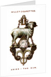 Aries, The Ram by Anonymous