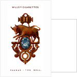 Taurus, The Bull by Anonymous