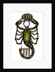Scorpio, The Scorpion by Anonymous