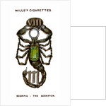 Scorpio, The Scorpion by Anonymous