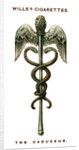 The Caduceus by Anonymous