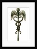 The Caduceus by Anonymous