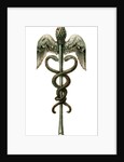 The Caduceus by Anonymous