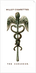 The Caduceus by Anonymous