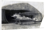 German Albatros DV, Souilly, France by Anonymous