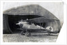 German Albatros DV, Souilly, France by Anonymous
