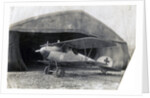 German Albatros DV, Souilly, France by Anonymous