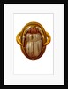 The Scarab by Anonymous