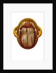 The Scarab by Anonymous