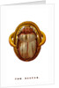 The Scarab by Anonymous