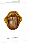The Scarab by Anonymous