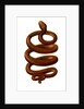 The Serpent by Anonymous