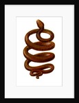 The Serpent by Anonymous