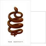 The Serpent by Anonymous