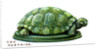The Tortoise by Anonymous