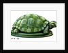 The Tortoise by Anonymous