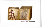 Book of Charms by Anonymous