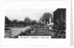 Botanical Gardens, Adelaide, Australia by Anonymous