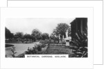Botanical Gardens, Adelaide, Australia by Anonymous