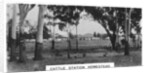 Cattle station homestead, Australia by Anonymous