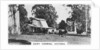 Dairy farming, Victoria, Australia by Anonymous