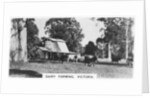 Dairy farming, Victoria, Australia by Anonymous