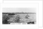 Sailing in Sydney Harbour, Australia by Anonymous