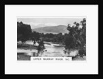 Upper Murray River, Victoria, Australia by Anonymous