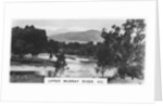 Upper Murray River, Victoria, Australia by Anonymous
