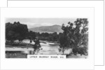 Upper Murray River, Victoria, Australia by Anonymous