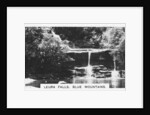 Leura Falls, Blue Mountains, Australia by Anonymous