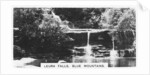 Leura Falls, Blue Mountains, Australia by Anonymous