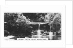 Leura Falls, Blue Mountains, Australia by Anonymous
