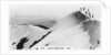 Mount Feathertop, Victoria, Australia by Anonymous
