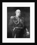 Sir Frederick William Richards, (1833-1912), Admiral of the Fleet by Anonymous
