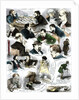 Sketches at the International Chess Tournament, May 5 by Corbould