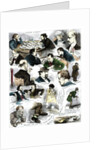 Sketches at the International Chess Tournament, May 5 by Corbould