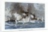 Battle of Santiago de Cuba by Willy Stower