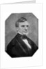 Samuel Finley Breese Morse, 19th century American inventor by Anonymous