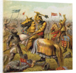 The War Of The Roses by Anonymous