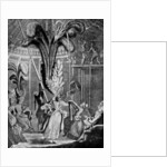 Hints to the ladies to take care of their heads by Anonymous