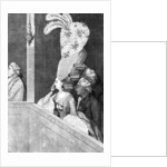 The Optic Curls by Anonymous