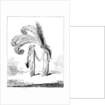 And catch the living manners as they rise by Anonymous