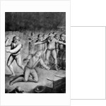 The bruising match by Anonymous