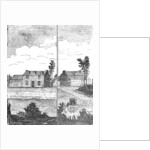 A True Draught of Eliza Canning by Anonymous