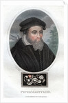 Peter Martyr by J Chapman