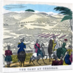 The Camp at Chobham by Anonymous