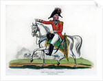 Lieutenant-General Lord Linedock by Anonymous